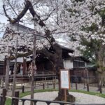 私たちはなぜ、4月になると「始まり」を意識するのでしょうか